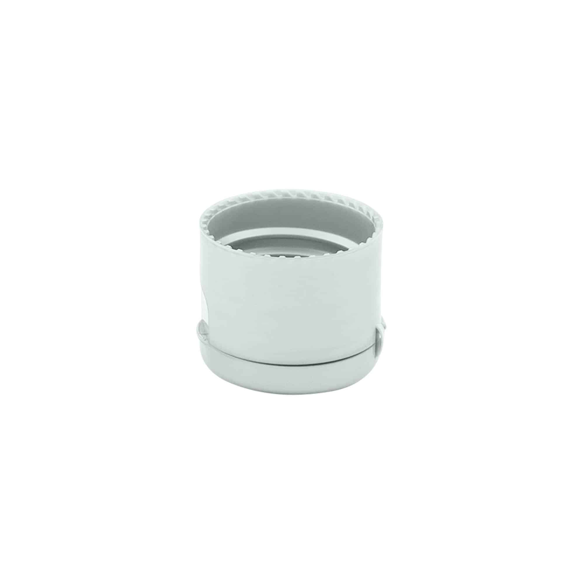 Hinged screw cap, PP plastic, silver, for opening: GPI 24/410